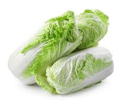 Chinese Cabbage